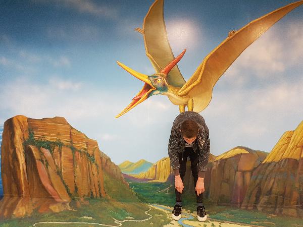 3D Trick Art Gallery in Rotorua - Cost, When to Visit, Tips and Location