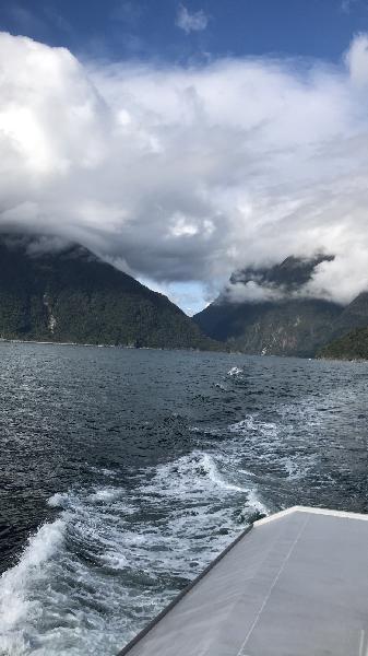 Milford sound ,Quhal 25/4/2018