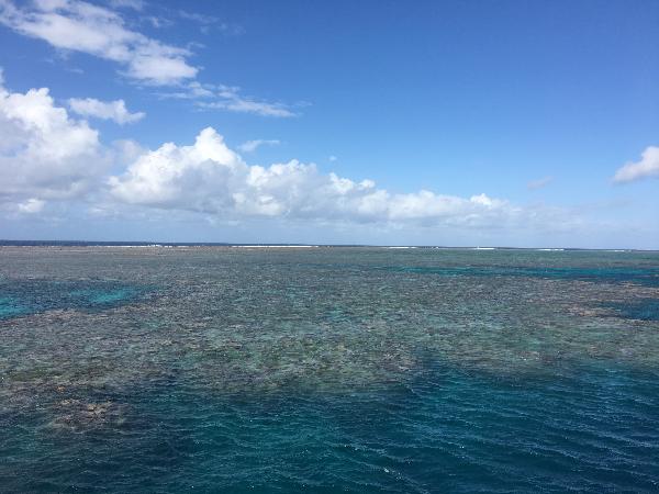 Amazing day on the reef