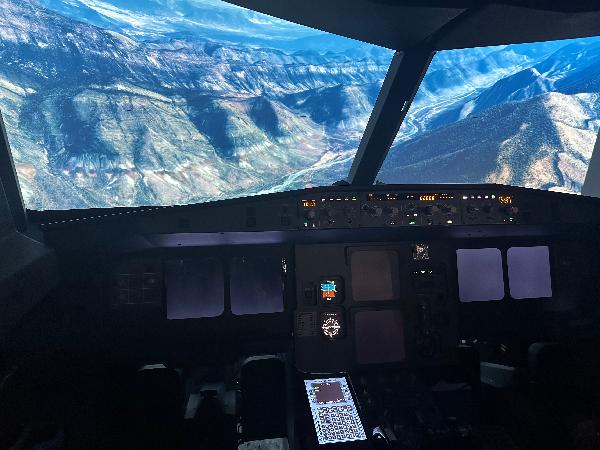 Great Airbus Simulation!