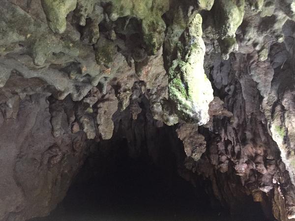 Glowworm caves (no cameras allowed inside