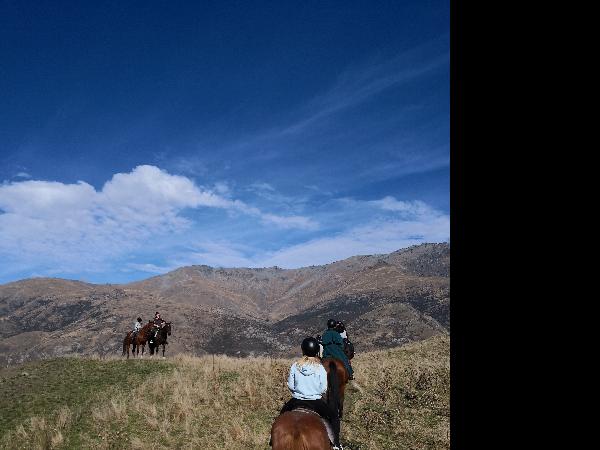 unforgettable horse riding experience