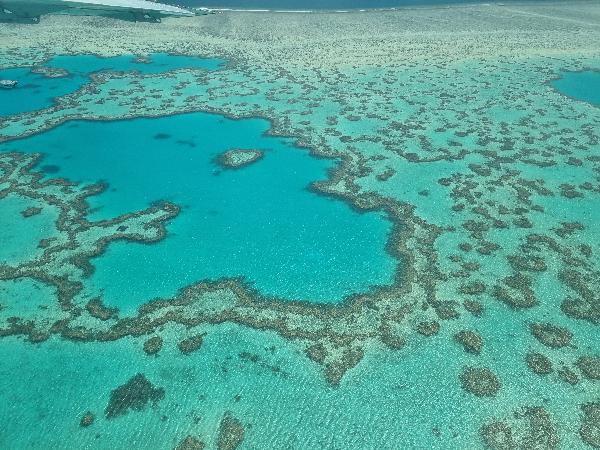 Whitsunday Islands and Heart Reef Scenic Flight - 70 minutes ...