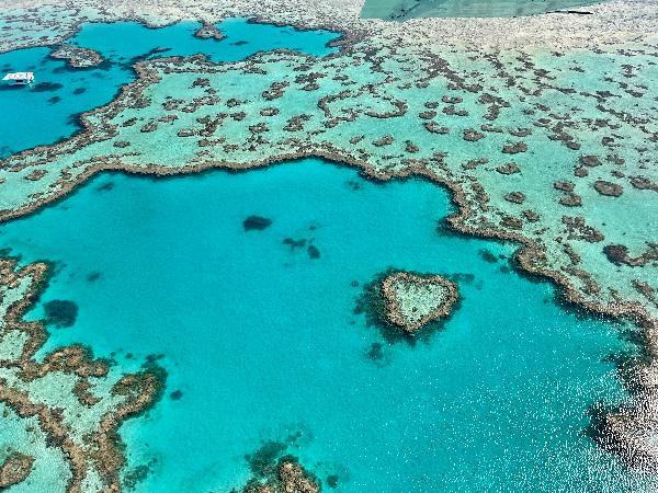 Scenic Flight Heart Reef & Whitsundays