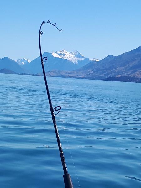 Great morning fishing