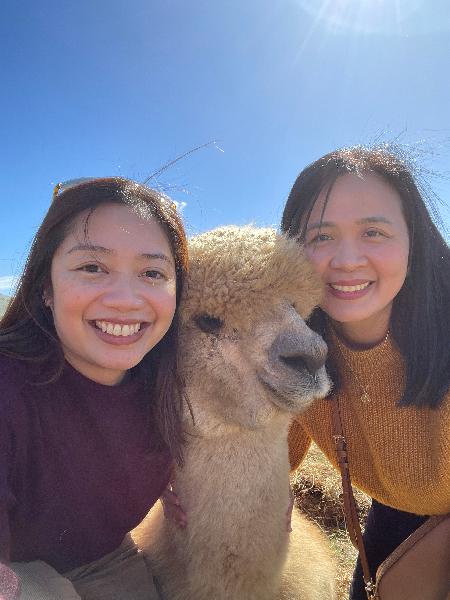 A must do when in Akaroa