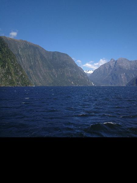 Awesome trip to milford sound