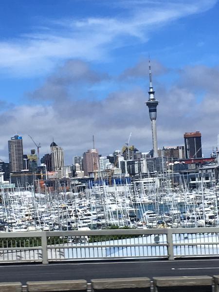 Auckland afternoon City Tour