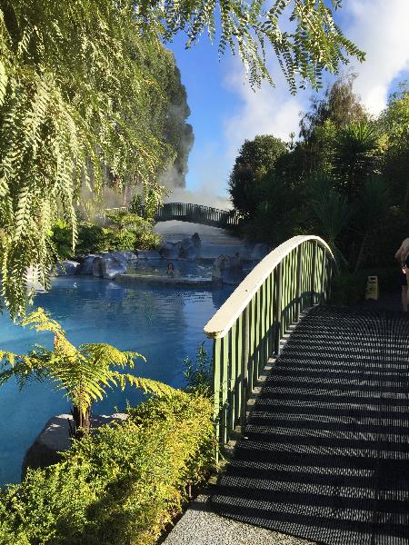 Wairakei Terraces - Thermal Hot Pools - Epic deals and last minute ...