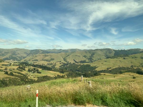 Last minute bus to Akaroa. 