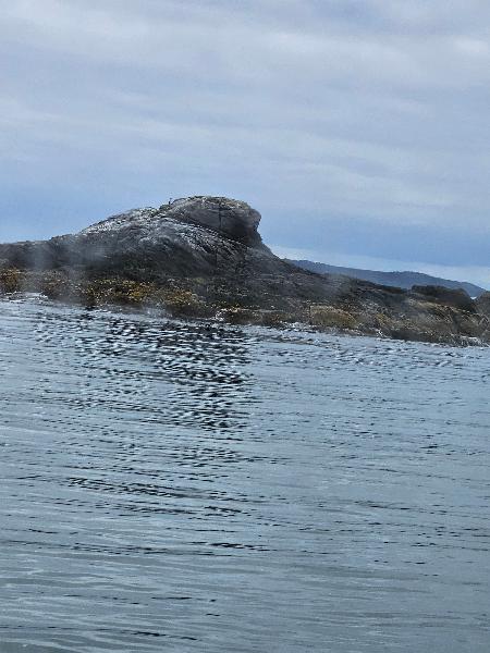 Great ferry ride