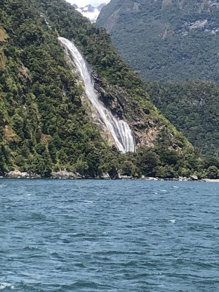 Best experience in Milford Sound