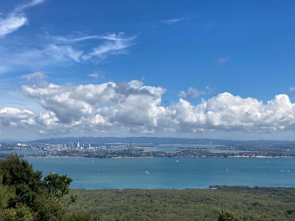 Discover Rangitoto