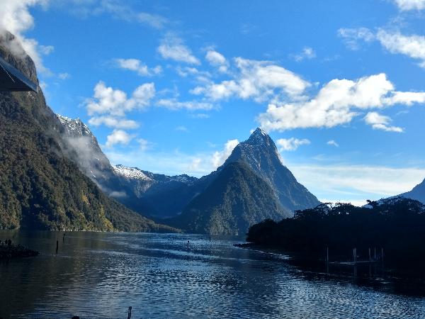 Go Orange - Milford Sound Coach & Cruise - Epic deals and last minute ...