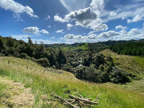 Ziplines in Rotorua