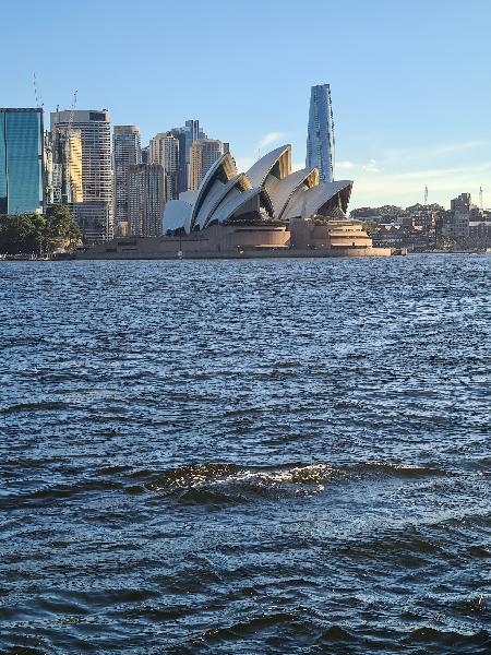 Sailing Sydney Harbour