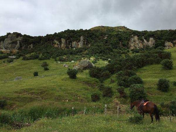 Stone Hill, horse trek 