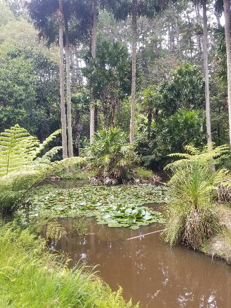 Kawau Island