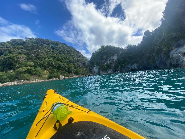 Fantastic day out in Abel Tasman bay