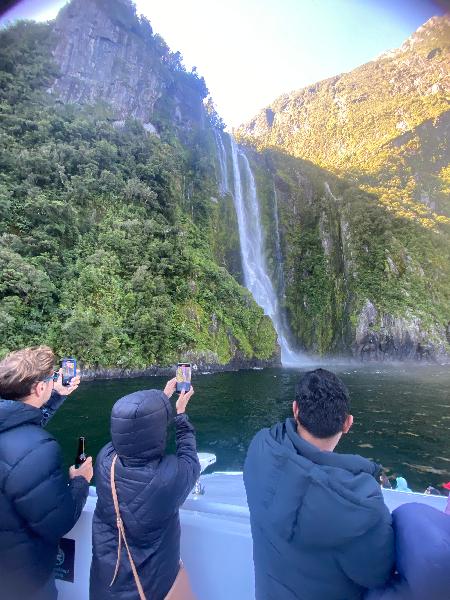 Pure Milford – Milford Sound Cruise - Epic deals and last minute discounts