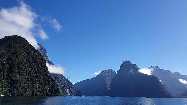 View of the fiord from cruise.