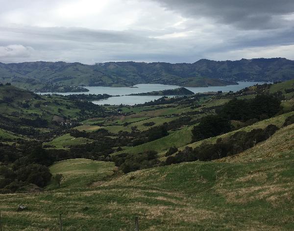 View of Akaroa from the crest.