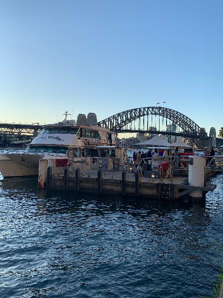 Sydney Harbour + Whale Watching.