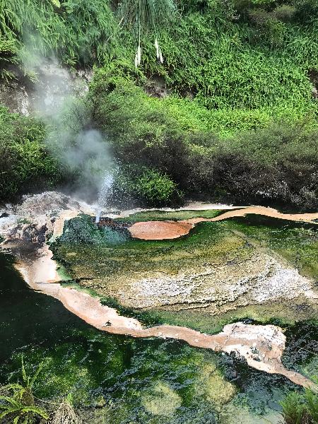 volcanic valley bush walk /boat trip 