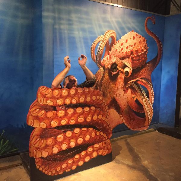 3D Trick Art Gallery in Rotorua - Cost, When to Visit, Tips and Location