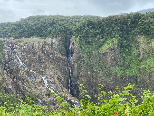 Unforgettable experience in Kuranda