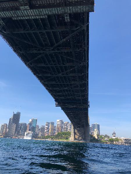 What a way to see Sydney Harbour