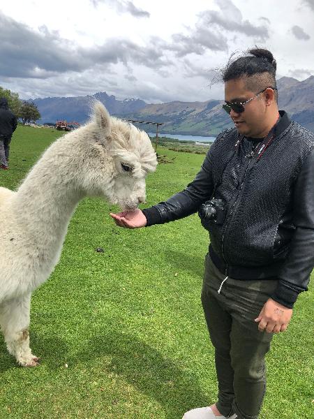 Amazing experience with friendly animals