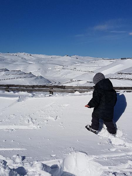 Family Value Snow Fun