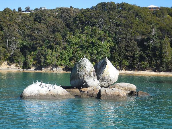 Abel Tasman zu Wasser und Land erleben!