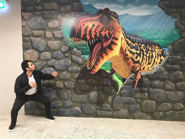 3D Trick Art Gallery in Rotorua - Cost, When to Visit, Tips and Location