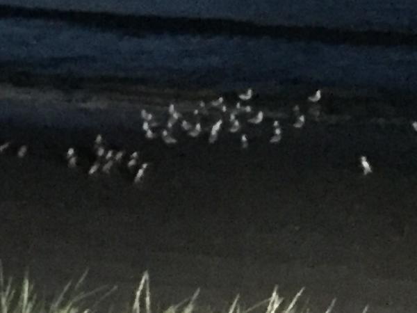 Storming the beach!