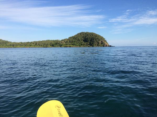 Double Island Turtle Kayak Tour 