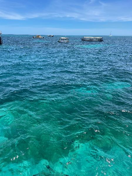 Great snorkelling 