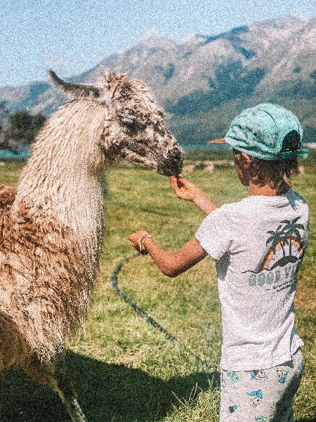 Glenorchy Animal Experience - Farm Entry Incl. Animal food - Epic deals and  last minute discounts