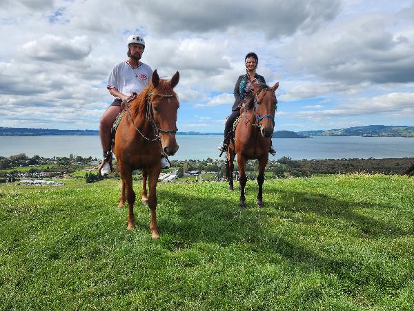 Horse trek Rotorua