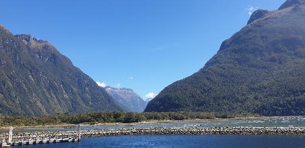 Coach, Nature & Milford Sound Scenic Cruise