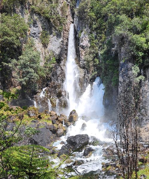 Tarawera Falls