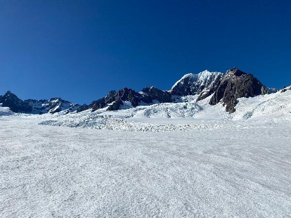 Bluebird Day