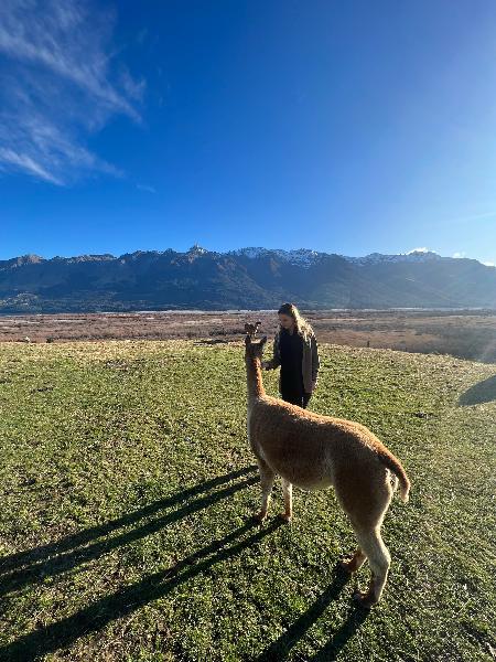 The Best Local Farm Experience in NZ! 