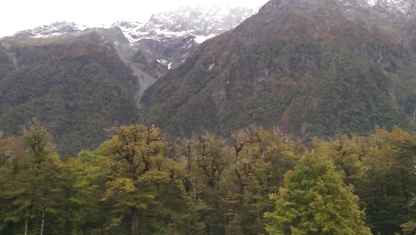 Amazing Milford Sounds