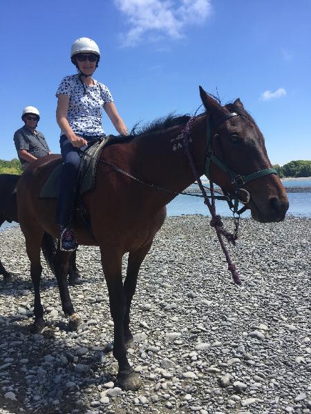 Waimak horse trek