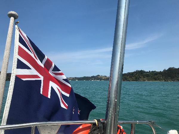 Best thing to do in the Bay of Islands