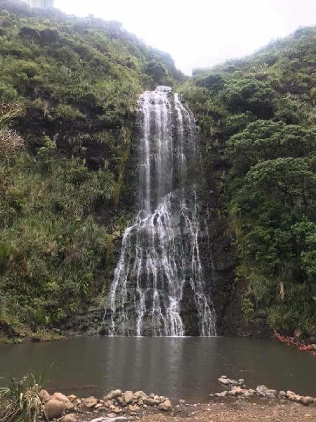 Piha day trip