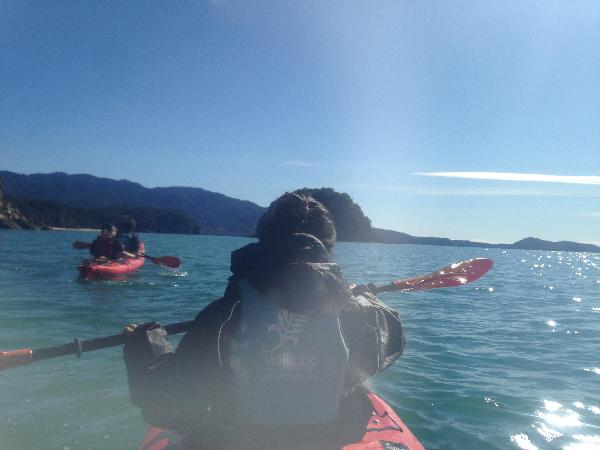 You should do Kayaking in Abel Tasman! :)