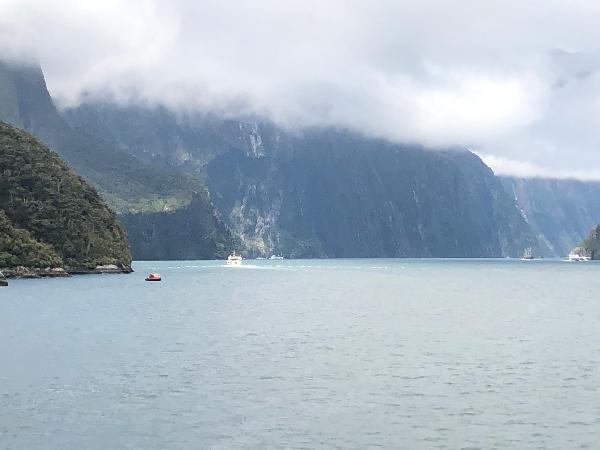 Best experience in Milford Sound